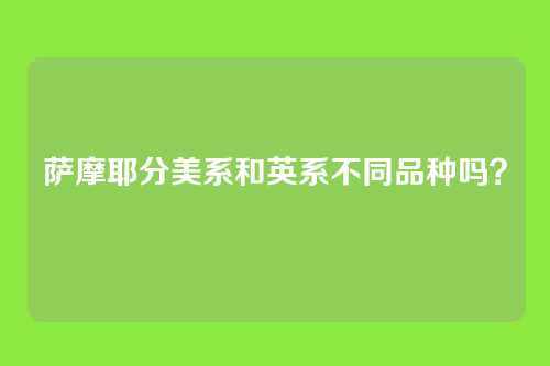 萨摩耶分美系和英系不同品种吗？
