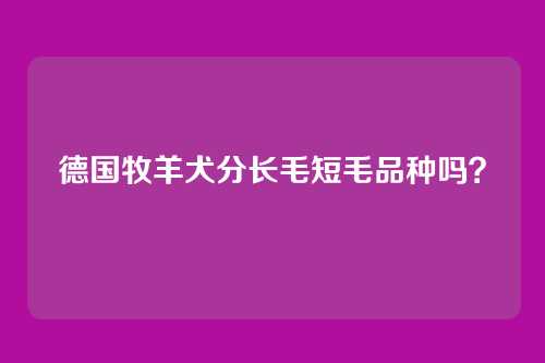 德国牧羊犬分长毛短毛品种吗？