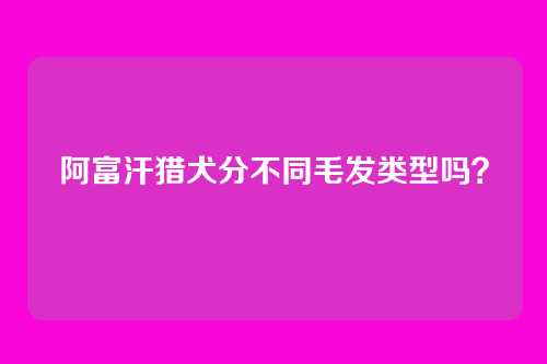 阿富汗猎犬分不同毛发类型吗？