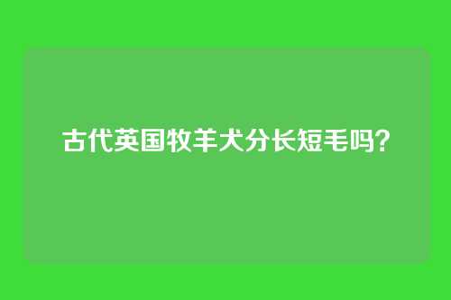 古代英国牧羊犬分长短毛吗？