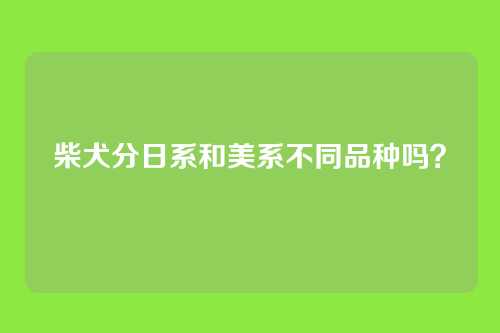 柴犬分日系和美系不同品种吗？