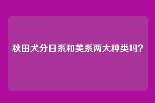 秋田犬分日系和美系两大种类吗？
