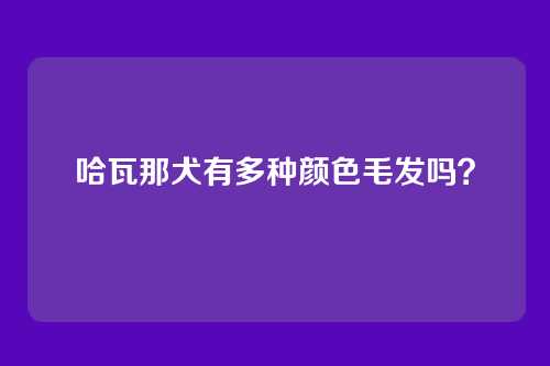 哈瓦那犬有多种颜色毛发吗？