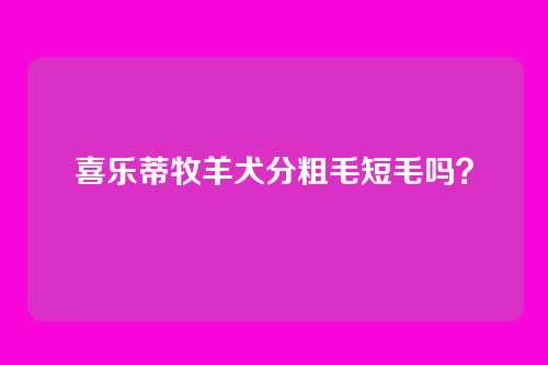 喜乐蒂牧羊犬分粗毛短毛吗？