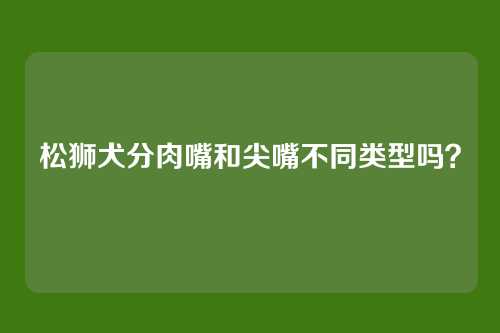 松狮犬分肉嘴和尖嘴不同类型吗？