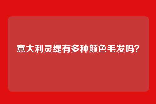 意大利灵缇有多种颜色毛发吗？