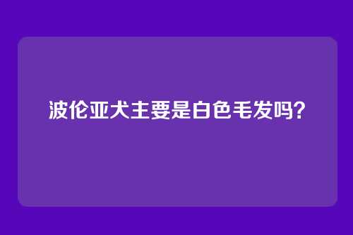 波伦亚犬主要是白色毛发吗？