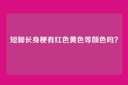 短脚长身梗有红色黄色等颜色吗？
