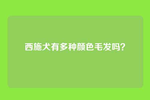 西施犬有多种颜色毛发吗？