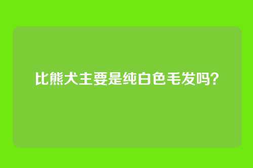 比熊犬主要是纯白色毛发吗？