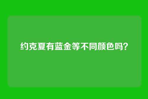 约克夏有蓝金等不同颜色吗？