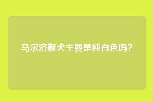 马尔济斯犬主要是纯白色吗？