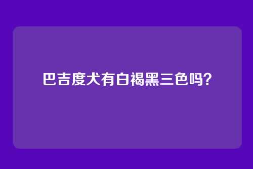 巴吉度犬有白褐黑三色吗？