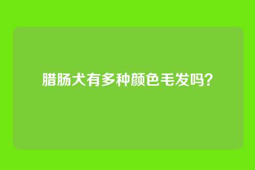 腊肠犬有多种颜色毛发吗？