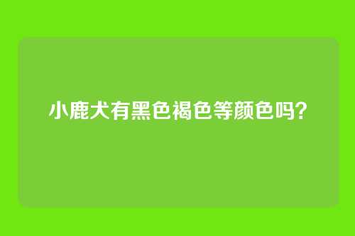 小鹿犬有黑色褐色等颜色吗？