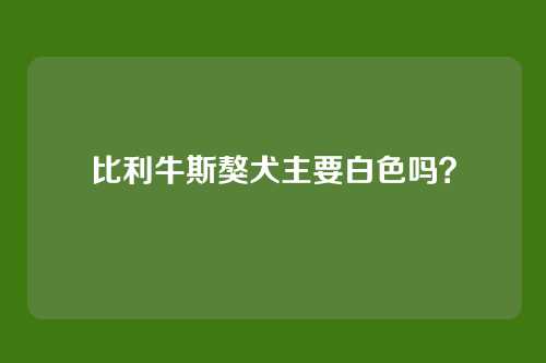 比利牛斯獒犬主要白色吗？