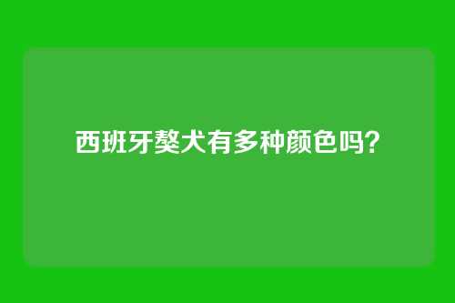 西班牙獒犬有多种颜色吗？
