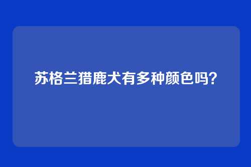 苏格兰猎鹿犬有多种颜色吗？