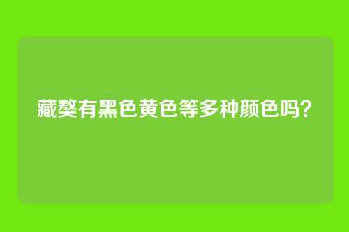 藏獒有黑色黄色等多种颜色吗？