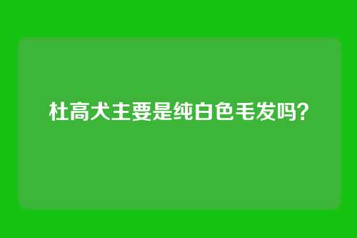 杜高犬主要是纯白色毛发吗？