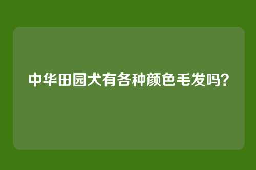 中华田园犬有各种颜色毛发吗？