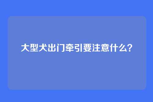 大型犬出门牵引要注意什么？