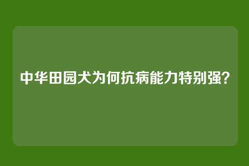 中华田园犬为何抗病能力特别强？