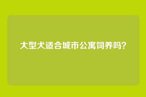 大型犬适合城市公寓饲养吗？