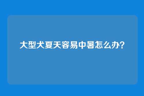 大型犬夏天容易中暑怎么办？