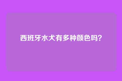 西班牙水犬有多种颜色吗？