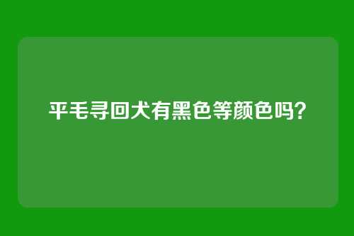 平毛寻回犬有黑色等颜色吗？