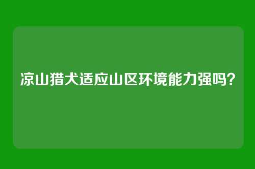 凉山猎犬适应山区环境能力强吗？