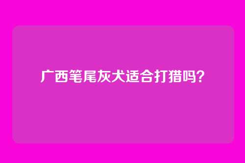 广西笔尾灰犬适合打猎吗？