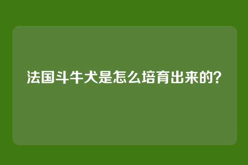 法国斗牛犬是怎么培育出来的？