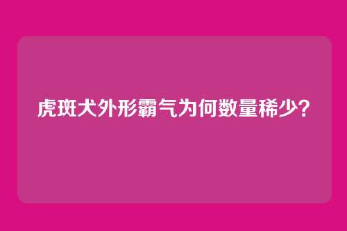 虎斑犬外形霸气为何数量稀少？