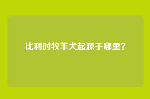 比利时牧羊犬起源于哪里？