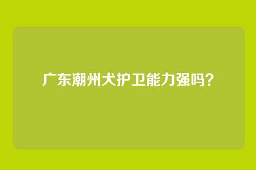 广东潮州犬护卫能力强吗？