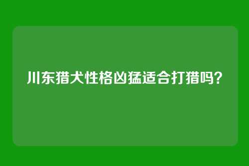 川东猎犬性格凶猛适合打猎吗？