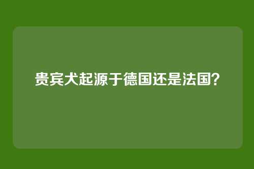贵宾犬起源于德国还是法国？