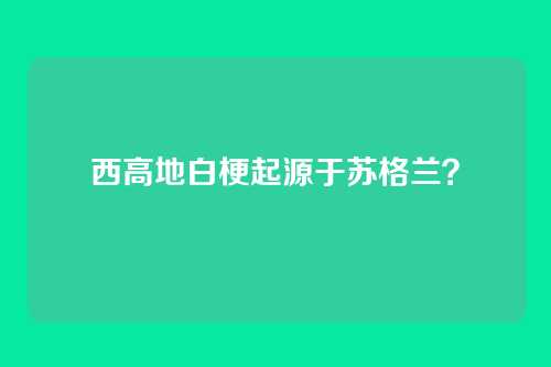 西高地白梗起源于苏格兰？