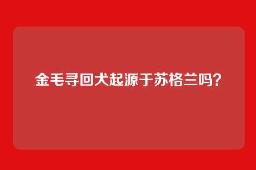 金毛寻回犬起源于苏格兰吗？