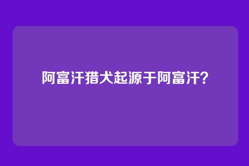 阿富汗猎犬起源于阿富汗？