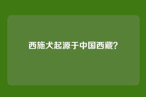 西施犬起源于中国西藏？