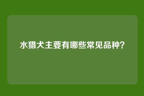 水猎犬主要有哪些常见品种？