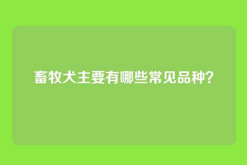 畜牧犬主要有哪些常见品种？
