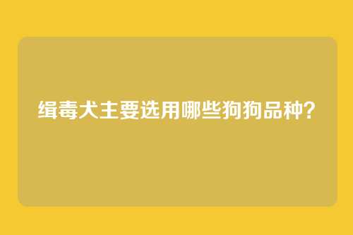 缉毒犬主要选用哪些狗狗品种？
