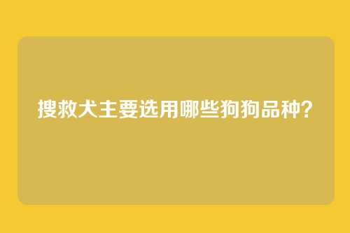 搜救犬主要选用哪些狗狗品种？
