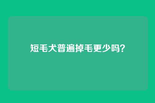 短毛犬普遍掉毛更少吗？