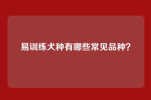 易训练犬种有哪些常见品种？