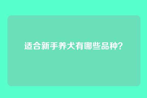 适合新手养犬有哪些品种？